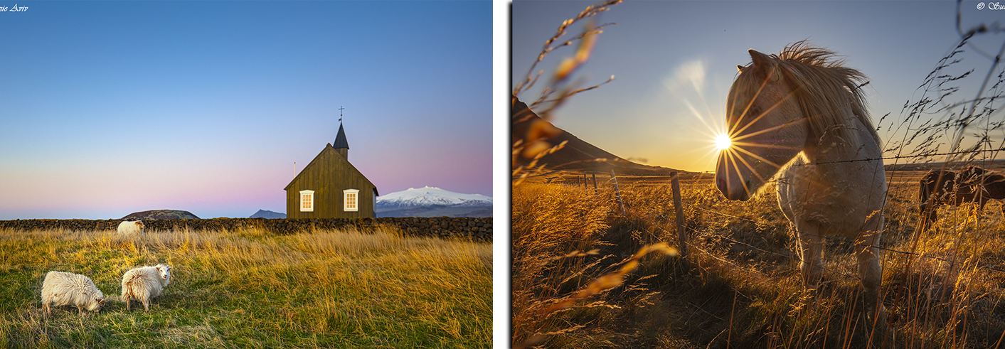 טיול צלמים לצפון איסלנד, אלון קירה בית ספר לצילום