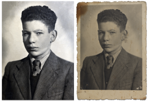 שחזור תמונות פילים - אלון קירה בית ספר לצילום